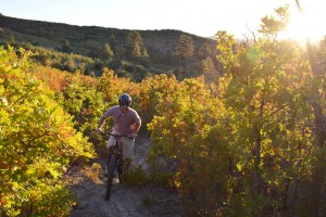 Zion Ponderosa Mountain Biking in Fall