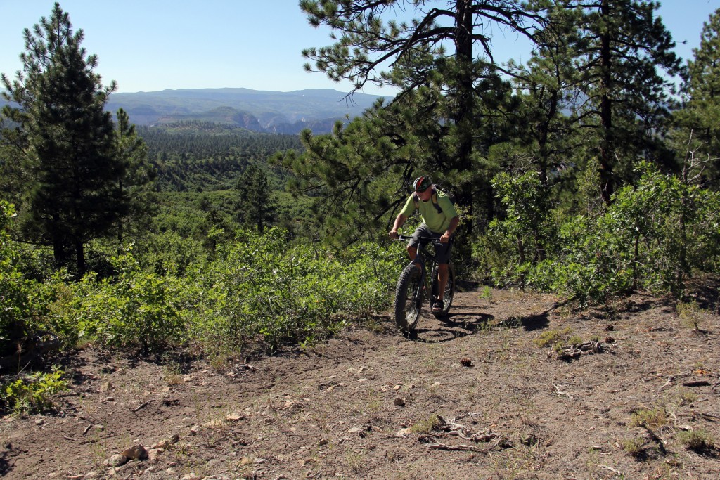 Mountain biking as regular exercise can improve heart health