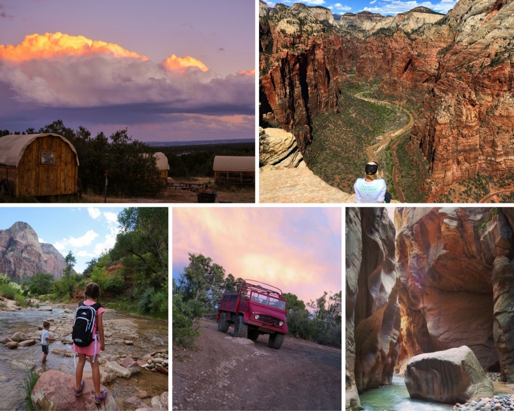 Zion Ponderosa Photo Contest