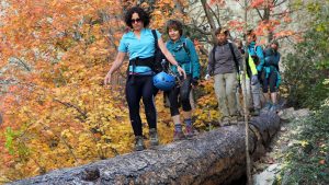 a group of women carefully hike across a fallen log during autumn near Zion National Park