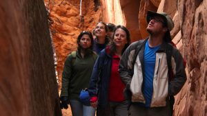 A group of hikers observe the tall rock walls in Zion National Park