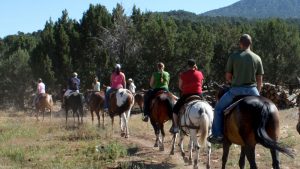 a group of men on women on horseback follow a tour guide down a trail