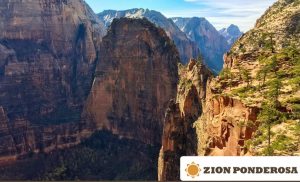 Zion Ponderosa Infographic Zion National Park