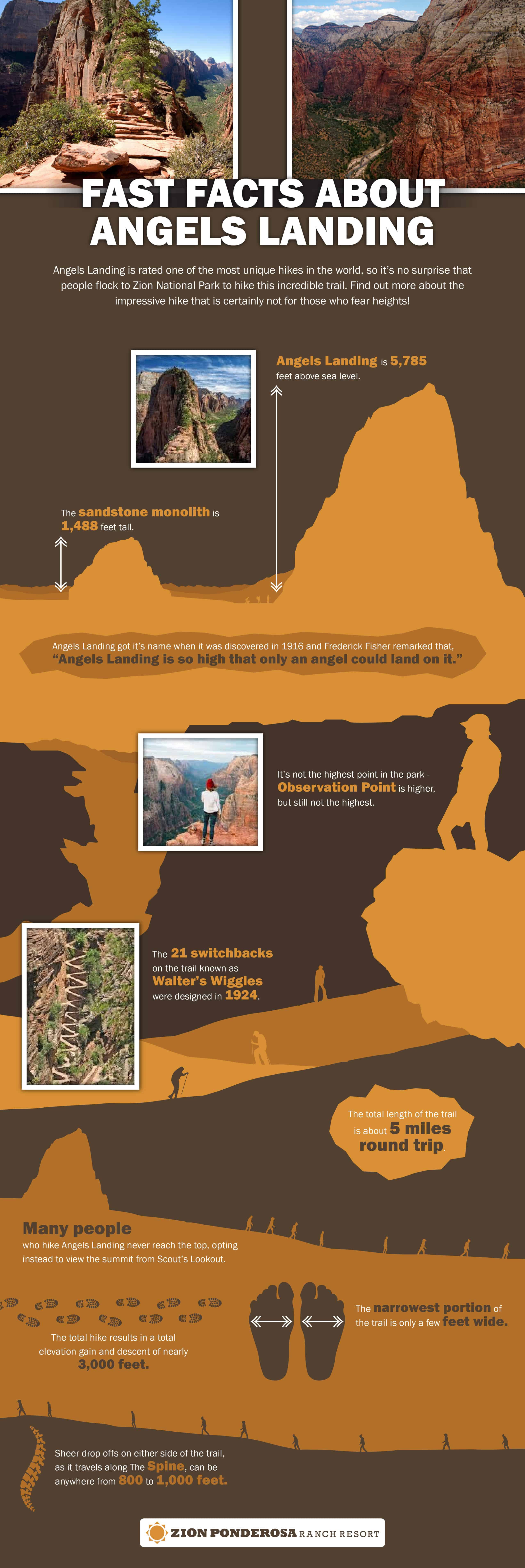 Infographic on Angels Landing Hike in Zion National Park