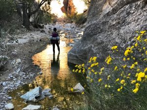 Zion Ponderosa Overnight Backpacking Trips