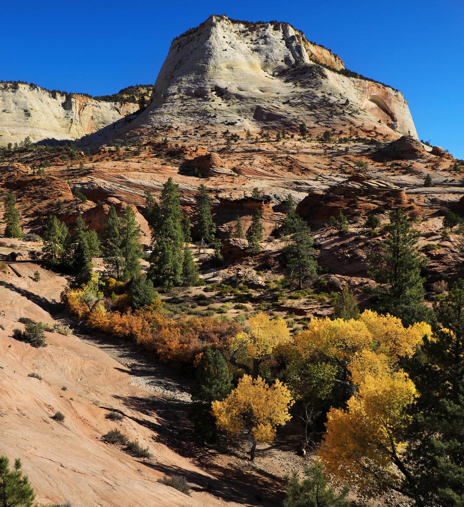 Featured image for “Zion National Park Fall Fun”