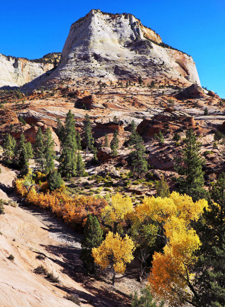 Zion National Park in fall.