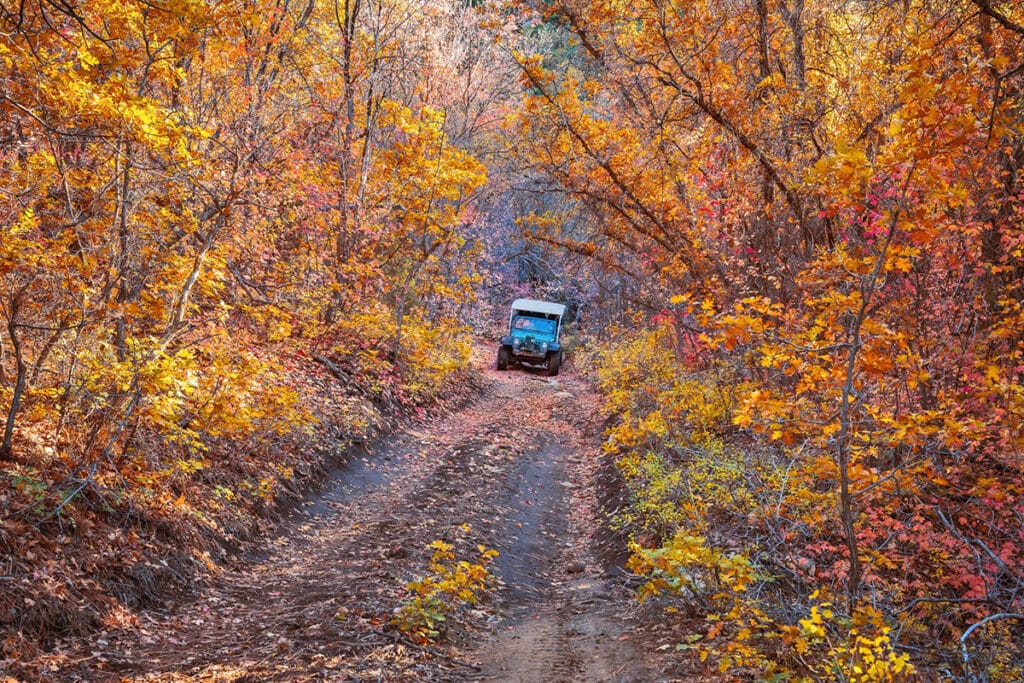Fall Colors - Jeep Tour