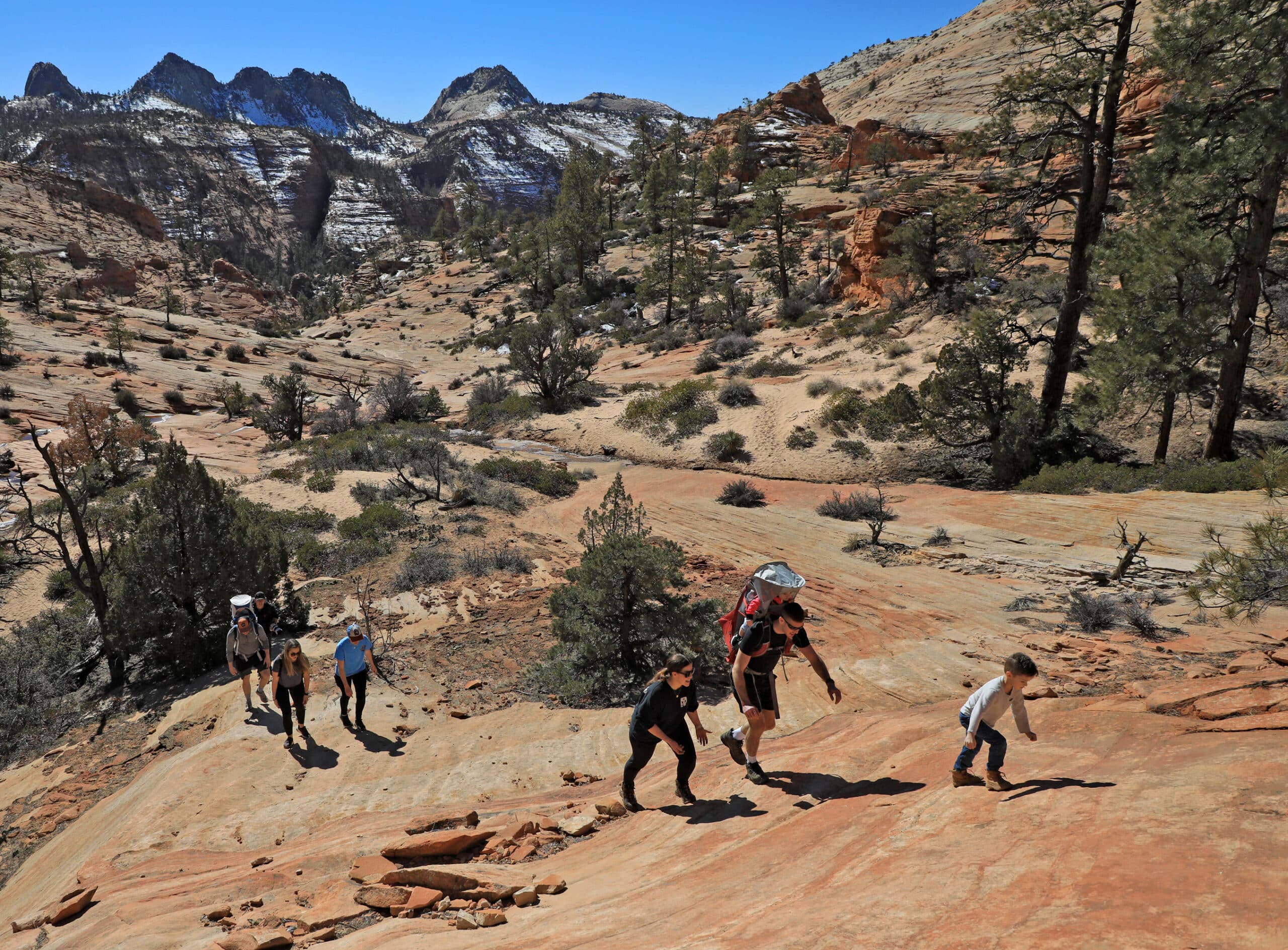Featured image for “Best Unguided Activities at Zion National Park”