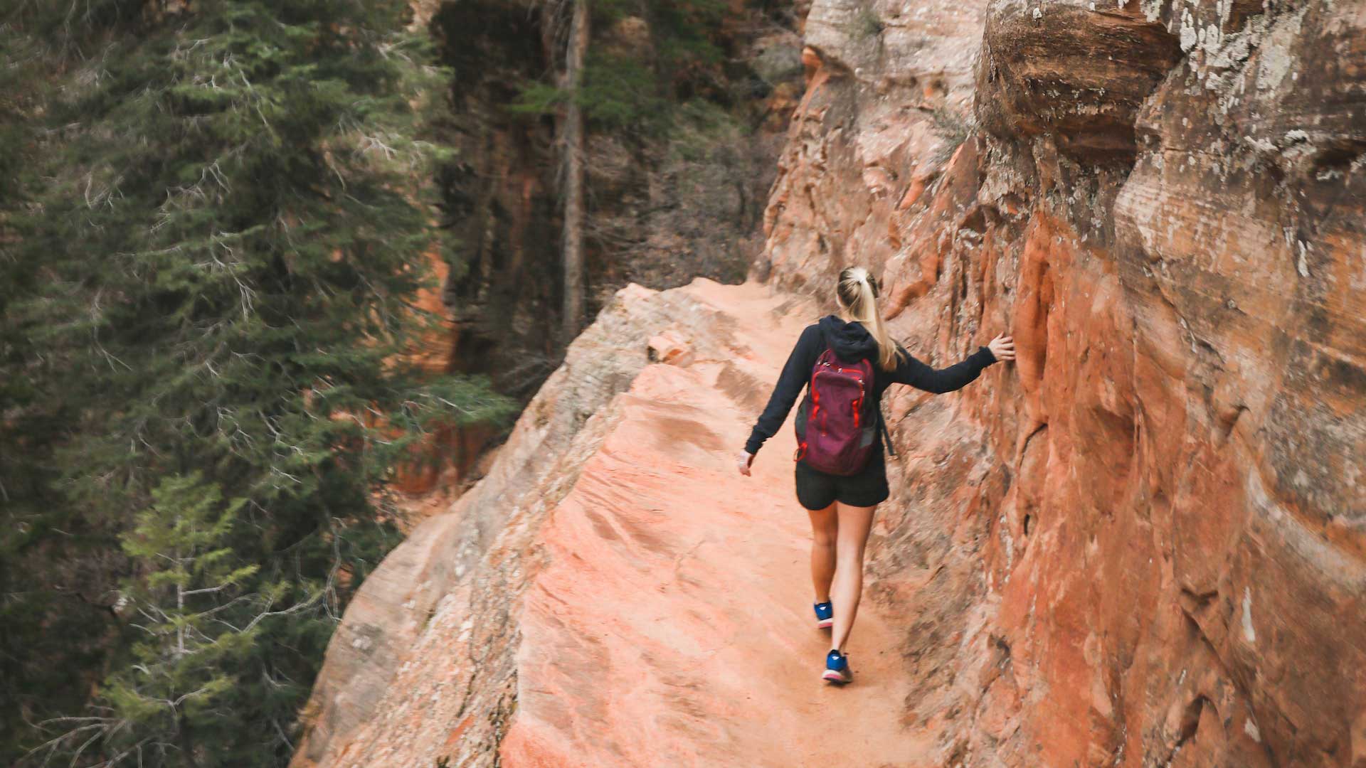 Zion National Park 29 Image