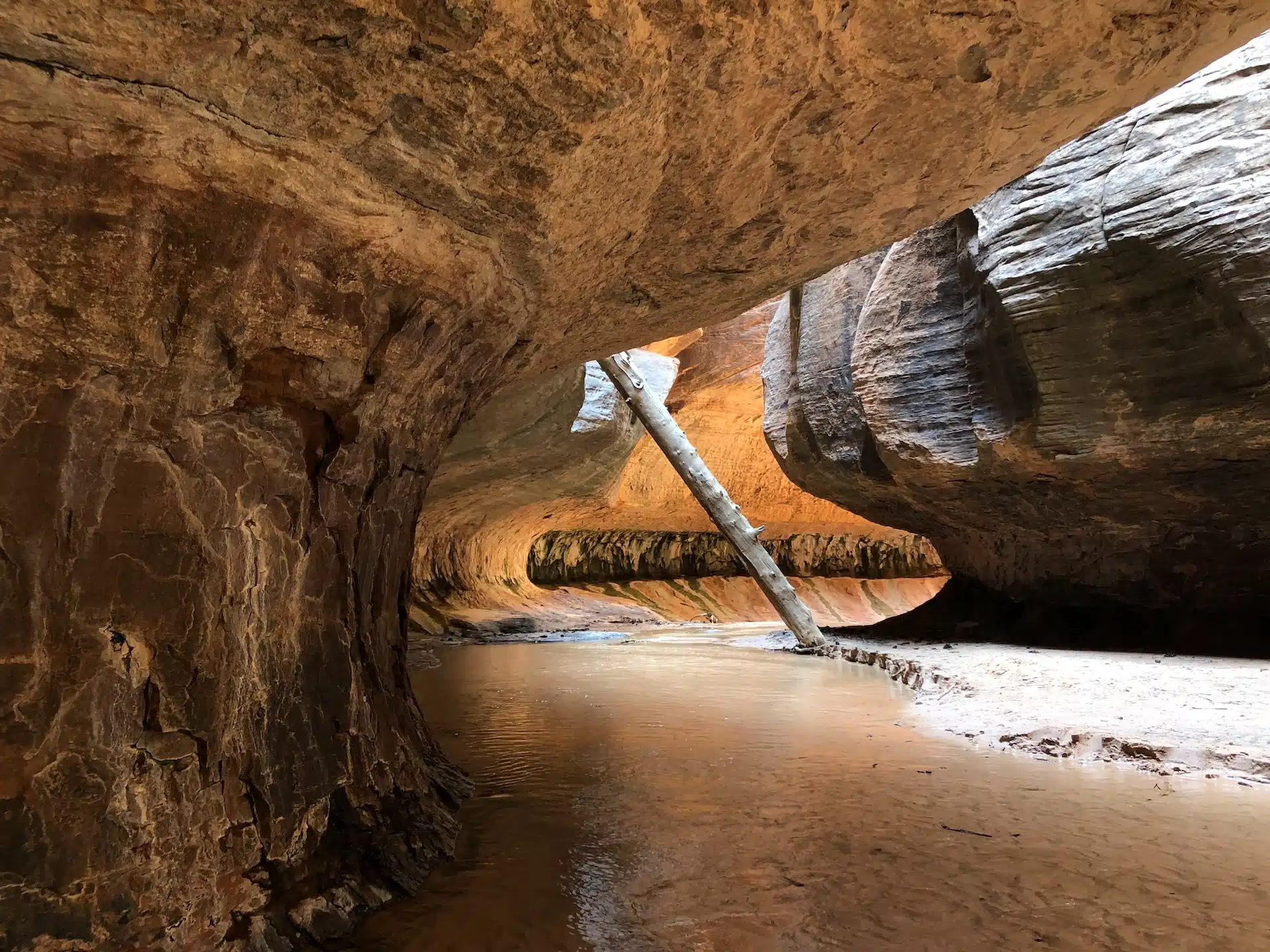 Zion National Park Information | Zion Ponderosa Resort