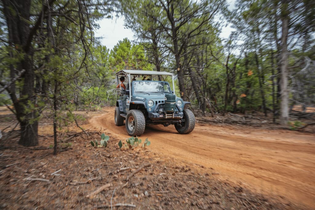 How to Experience Zion National Park Without Hiking 4 20220813 CHECKERBOARD OVERLOOK JEEP 7 scaled 1