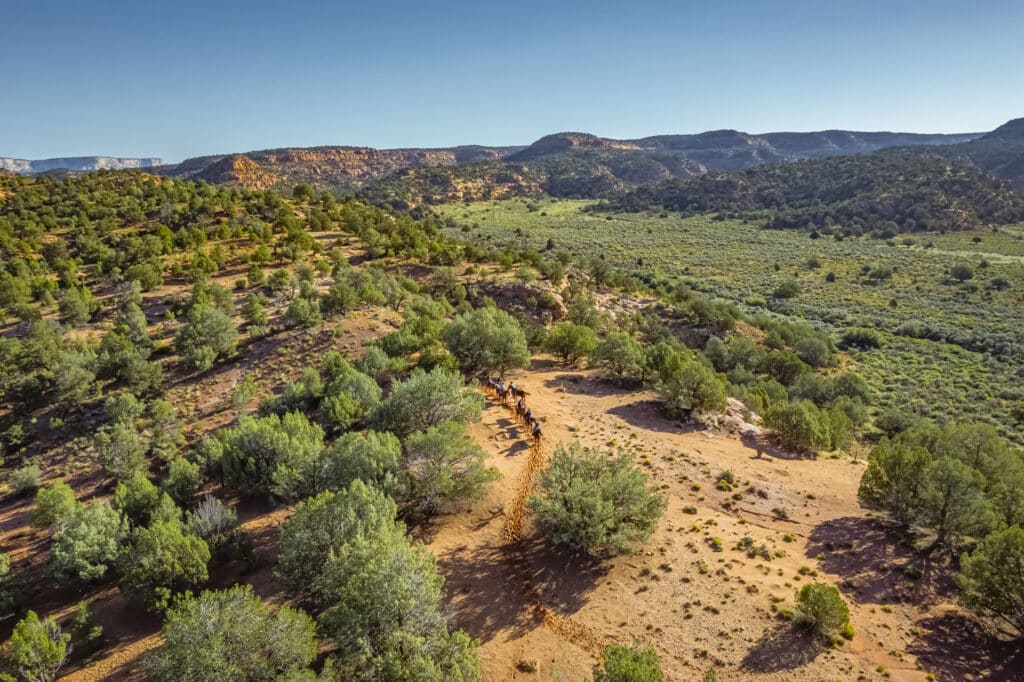 How to Experience Zion National Park Without Hiking 5 20230925 AZTEC TRAIL HORSEBACK 18