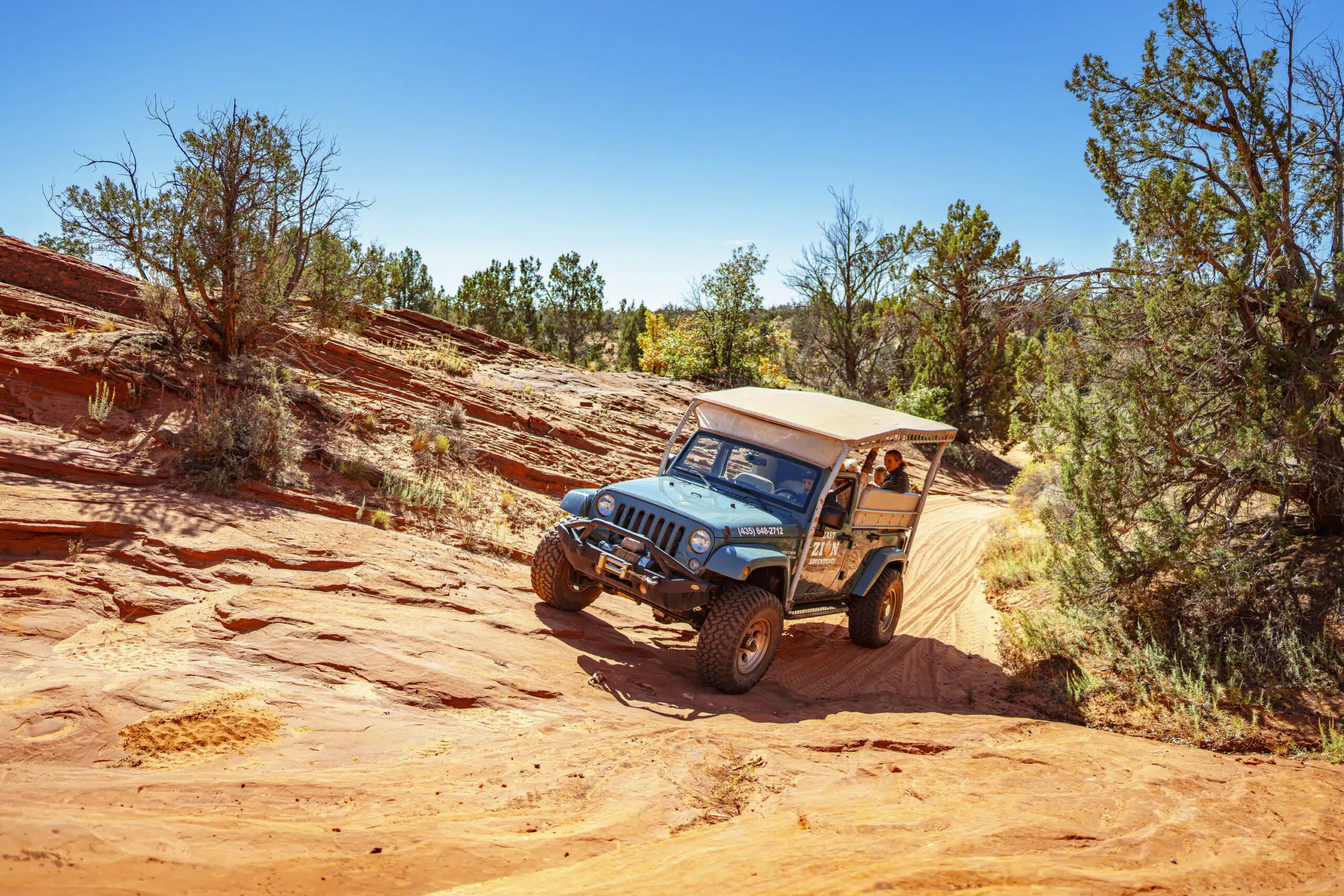 a jeep on pink sand