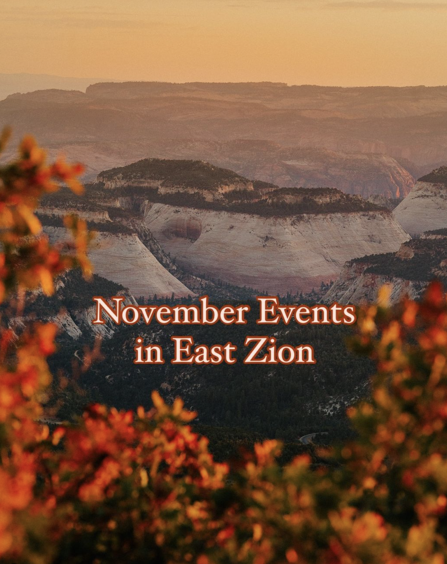 Featured image for “November Events in Zion”